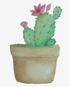 Transparent Watercolor Cactus Png - Png Transparent Cactus Png, Png Download, Free Download