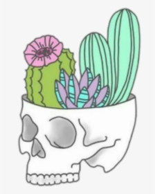 #tumblr #skull #esqueleto #cactus #cacto #cactos #flowers - Stickers Cactus Tumblr Png, Transparent Png, Free Download