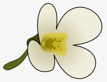 Clipart Flower With Pollen - Pollen Clip Art, HD Png Download, Free Download