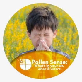What"s In Your Air, When And Where - Sneezing By Pollen, HD Png Download, Free Download
