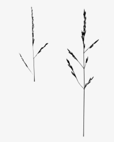Game Ear,blade Of Grass,structure, - Silhouette, HD Png Download, Free Download