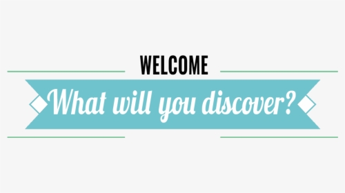 What Will You Discover - Graphic Design, HD Png Download, Free Download