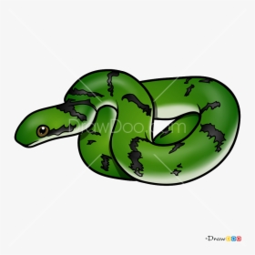 How To Draw Green Snake Snakes - Cartoon T Rex Head Side View, HD Png Download, Free Download