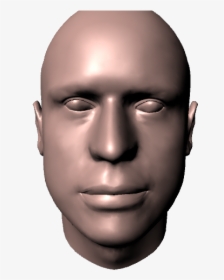 Male Head - 3d Head Model Png, Transparent Png, Free Download
