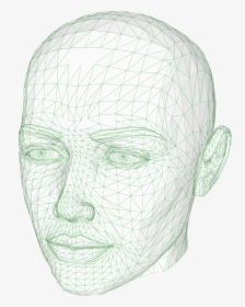Head, Wireframe Graphics, Model, 3d, Human, Computer - 3d Free Wireframe, HD Png Download, Free Download