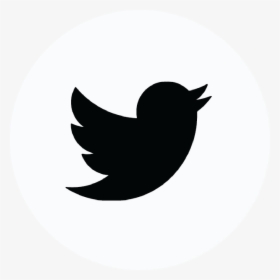 Twitter Icon - Twitter Logo For Youtube Banner, HD Png Download, Free Download