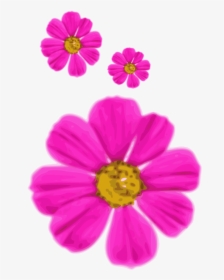 Pink,flower,garden Cosmos - ดอกไม้ สีชมพู เวก เตอร์, HD Png Download, Free Download