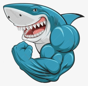 #shark #tubarão #cartoon #desenho @lucianoballack - Cartoon Shark, HD Png Download, Free Download