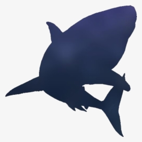 Cartoon Shark Drawings Png Transparent Images - Squalo Stencil, Png Download, Free Download
