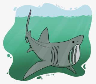 Shark Week - Squaliformes, HD Png Download, Free Download