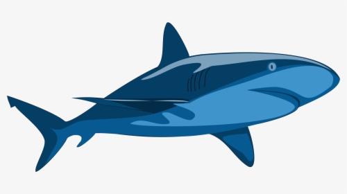 Pure Big Image Png - Vector Clip Art Shark, Transparent Png, Free Download