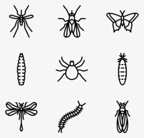 Insects Icon Png, Transparent Png, Free Download
