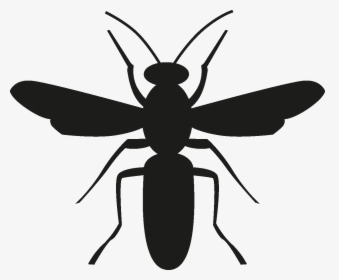 Transparent Insects Png - Insect Silhouette Png, Png Download, Free Download
