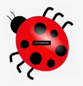 Termite Bugs Insects - Clip Art Lady Bug, HD Png Download, Free Download