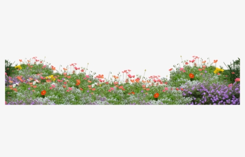 #flowers #field #freetoedit - Flower Garden Png, Transparent Png, Free Download