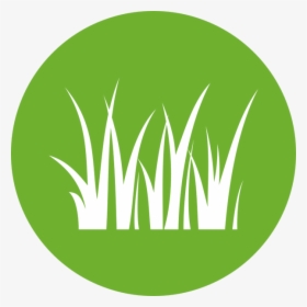Transparent Blades Of Grass Png, Png Download, Free Download