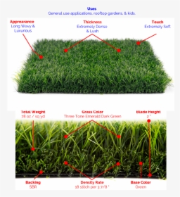 Premium Blade Grass-lush Synthetic Grass, HD Png Download, Free Download