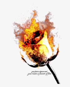 Flame, HD Png Download, Free Download