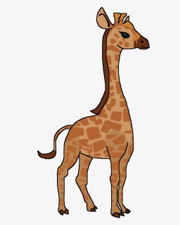 Wiki , Png Download - Giraffe Clipart, Transparent Png, Free Download