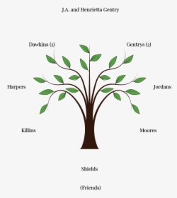Tree Vector Png Free , Png Download - Trees And Leaves Clipart, Transparent Png, Free Download