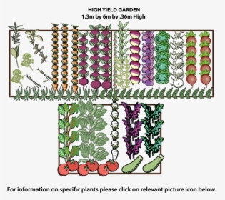 Vegetable Garden Png - High Yield Garden Layout, Transparent Png, Free Download