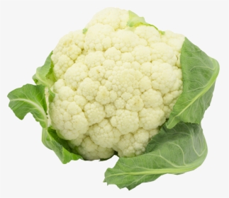 Download Cauliflower Png Clipart - Cauliflower Vegetable Png, Transparent Png, Free Download