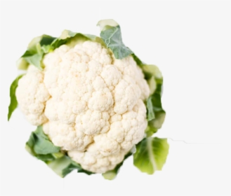 White Cauliflower Png Free Pic - Cauliflower Png, Transparent Png, Free Download