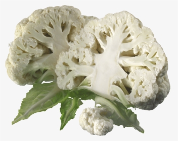 Cauliflower Slices - Cauliflower Images Png, Transparent Png, Free Download