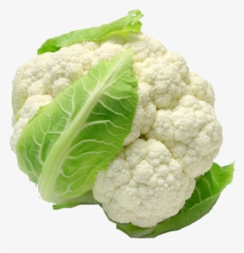 White Cauliflower Png Clipart - Cauliflower Vegetables, Transparent Png, Free Download