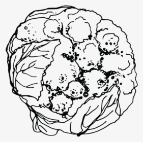 Sketch, HD Png Download, Free Download