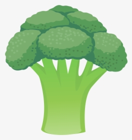 Cauliflower Vegetable Broccoli - Cauliflower, HD Png Download, Free Download