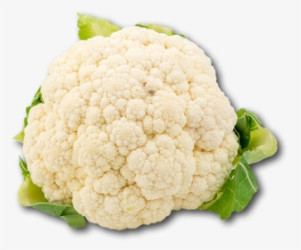 Cauliflower, HD Png Download, Free Download