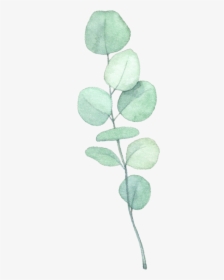 Green Vine - Heart, HD Png Download, Free Download