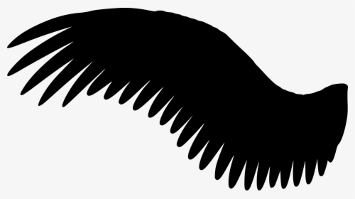 Wing, Silhouette, Fly - Black Angel Wings Png, Transparent Png, Free Download