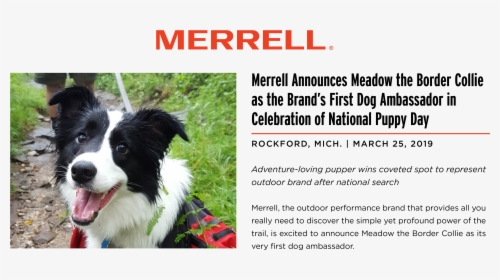 Merrell, HD Png Download, Free Download