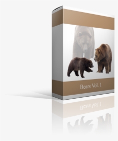 Kodiak Bear, HD Png Download, Free Download