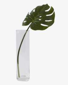 Palm Frond In Vase, HD Png Download, Free Download