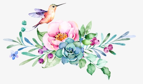 Hummingbird Clipart Watercolor - Transparent Hummingbird And Flower, HD Png Download, Free Download