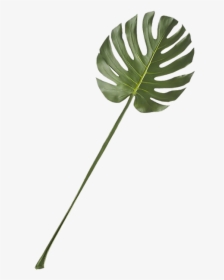 Clip Art, HD Png Download, Free Download