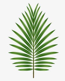 Leaf Image Gallery Yopriceville - Palm Tree, HD Png Download, Free Download
