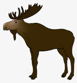 How To Draw Moose - Drawing, HD Png Download, Free Download