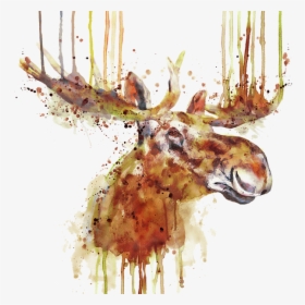 Moose Head Watercolor, HD Png Download, Free Download