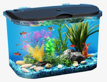Aquarium Fish Tank Png Download Image - Tropical Fish Tank Starter Kit, Transparent Png, Free Download