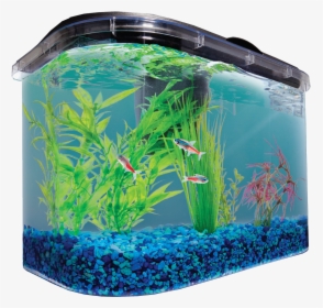 Aquarium Fish Tank Png Image - Aquarium, Transparent Png, Free Download