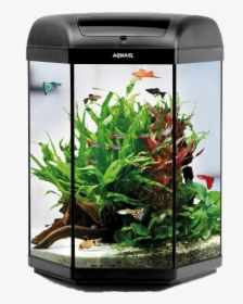Aquarium Fish Tank Png Picture - Aquarium Aquael, Transparent Png, Free Download