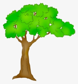 Tree Plant Clip Art - Tree Cartoon Transparent Background, HD Png Download, Free Download