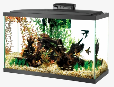 Aquarium With Log And Black Fish - Aqueon 29 Led Kit, HD Png Download, Free Download