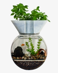 Self Cleaning Fish Tank Transparent Background - Fish Tank Aquaponics, HD Png Download, Free Download