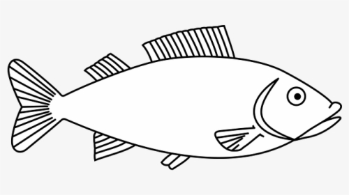 Big Fish Outline, HD Png Download, Free Download