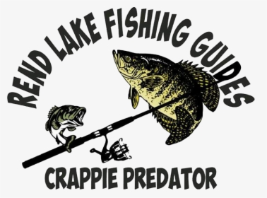 Crappie Vector Largemouth Bass Outline - White Crappie, HD Png Download, Free Download